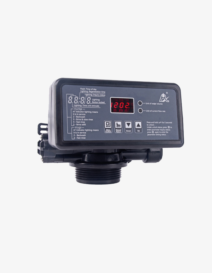 Runxin F117Q3 Otomatik Yumuşatma Kontrol Valfi
