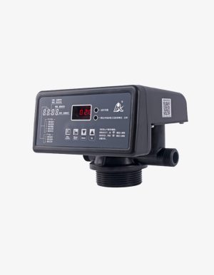 Runxin F71Q1 Filtre Kontrol Valfi